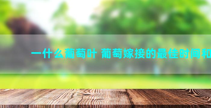 一什么葡萄叶 葡萄嫁接的最佳时间和方法